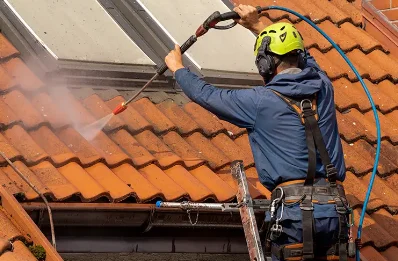 Démoussage et hydrofuge de toiture à Loubaresse